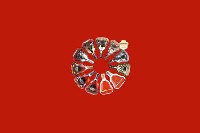 西昌市回收红酒
